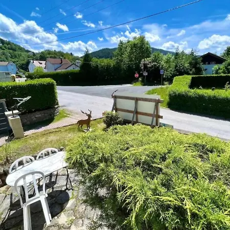 Σπίτι διακοπών Majestic Mountain - Endroit Magique - 20 Personnes Cornimont