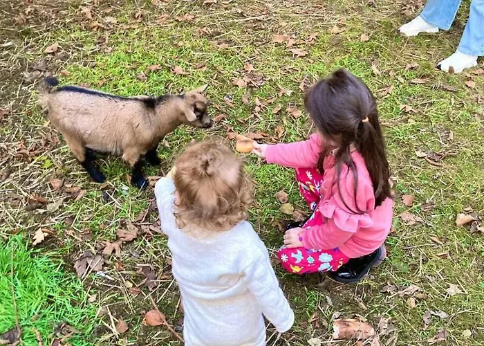 펜션 Majestic Mountain - Endroit Magique - 20 Personnes *