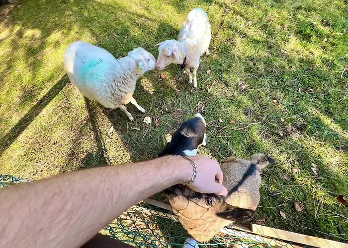 Majestic Mountain - Endroit Magique - 20 Personnes 펜션